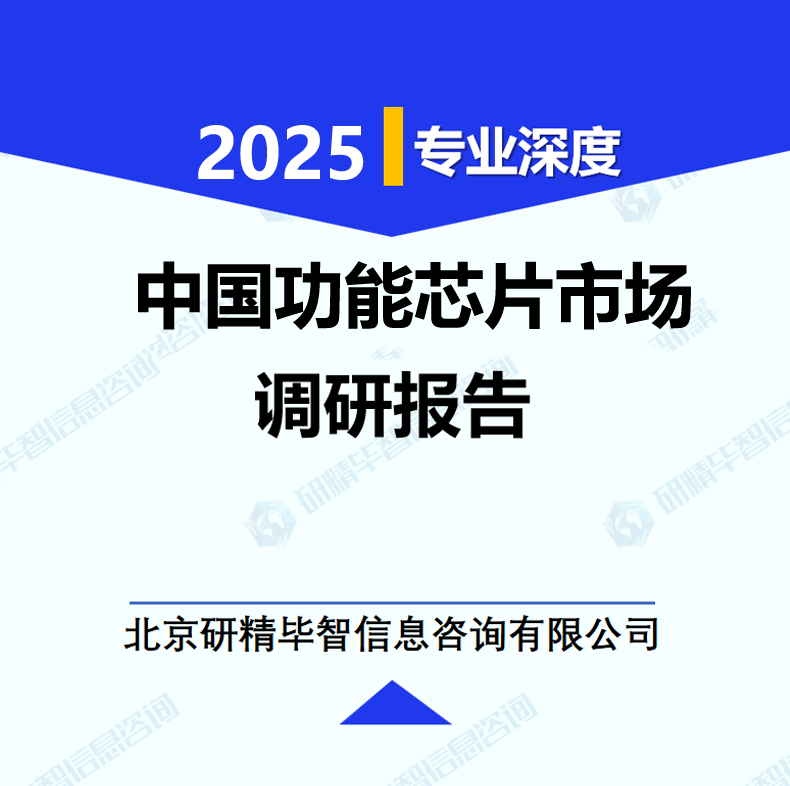 中國(guó)功能芯片市場(chǎng)調(diào)研報(bào)告